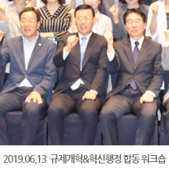 2019.06.13 규제개혁&혁신행정 합동 워크숍, 강원도
