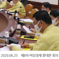 2020.06.25 제8차 비상경제 중대본 회의, 정부서울청사