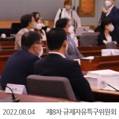 2022.08.04 제8차 규제자유특구위원회